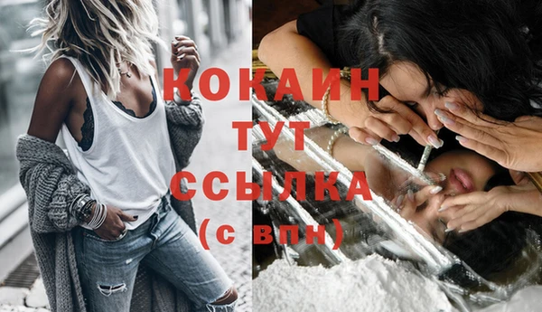 мяу мяу мука Абаза