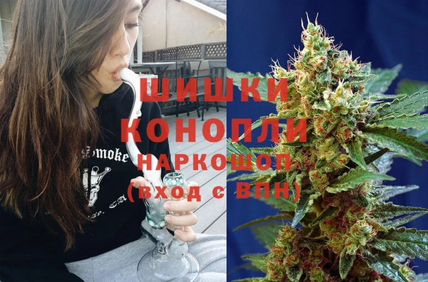 индика Абдулино
