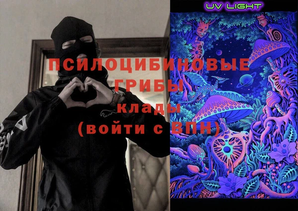 индика Абдулино