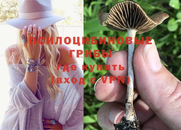 мяу мяу мука Абаза